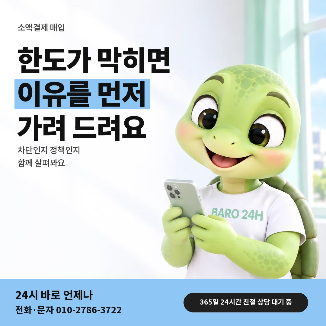 BARO 24H 티셔츠를 입은 3D 거북이 캐릭터 옆에 「한도가 막혔을 때」 제목을 얹은 안내 카드